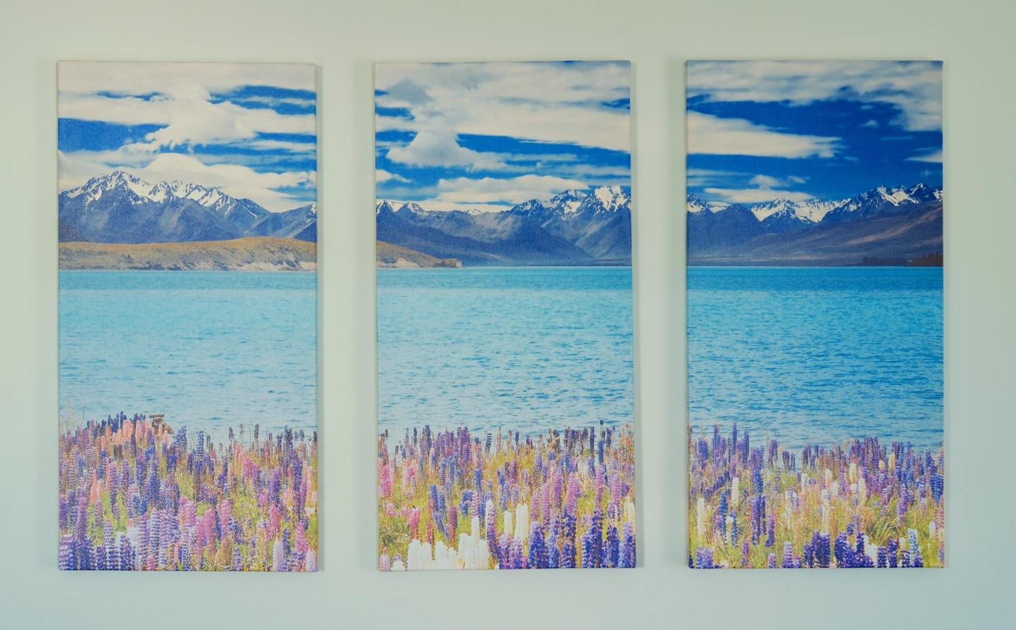 Kingfisher Lodge Lake Tekapo Værelse billede